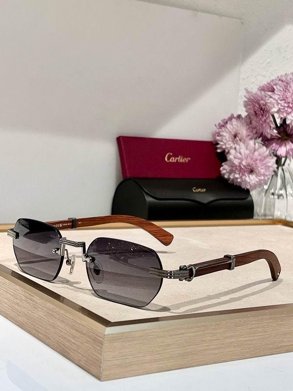 Cartier Sunglasses 113